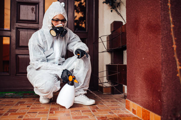 Reliable Mosquito Control contractor in North Salt Lake, UT by Show Me Pest Control